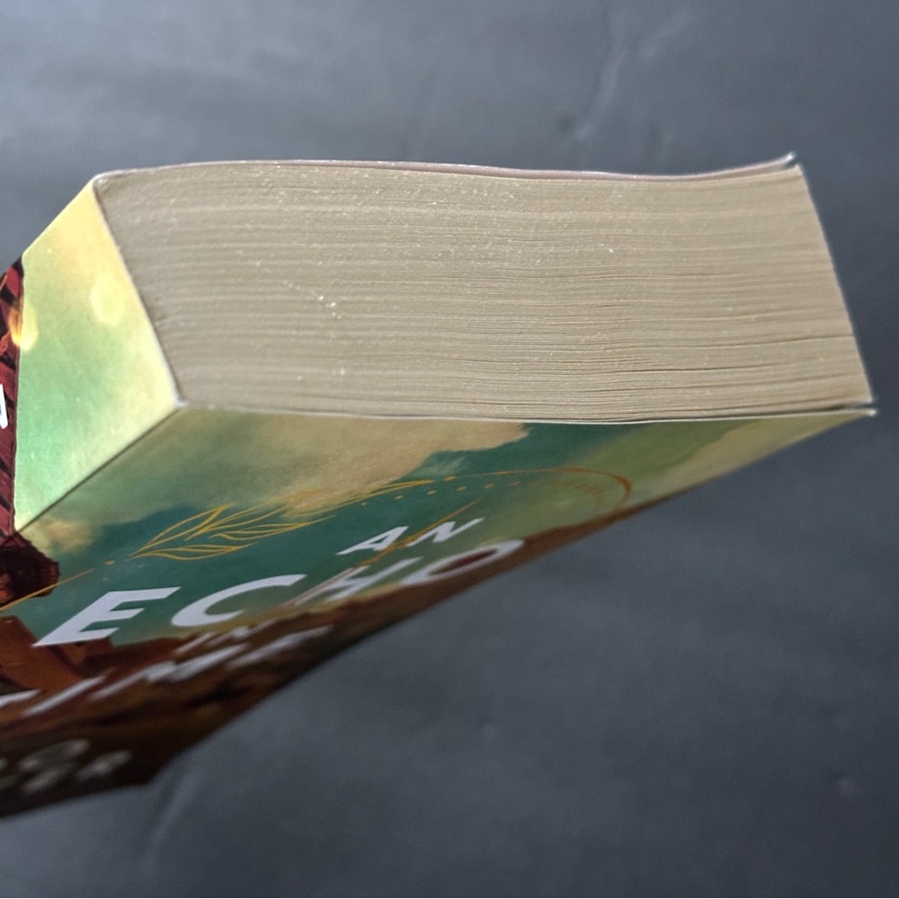 An Echo in Time by Boo Walker | Fiction, Mystery | Paperback Book - Picture 6 of 7